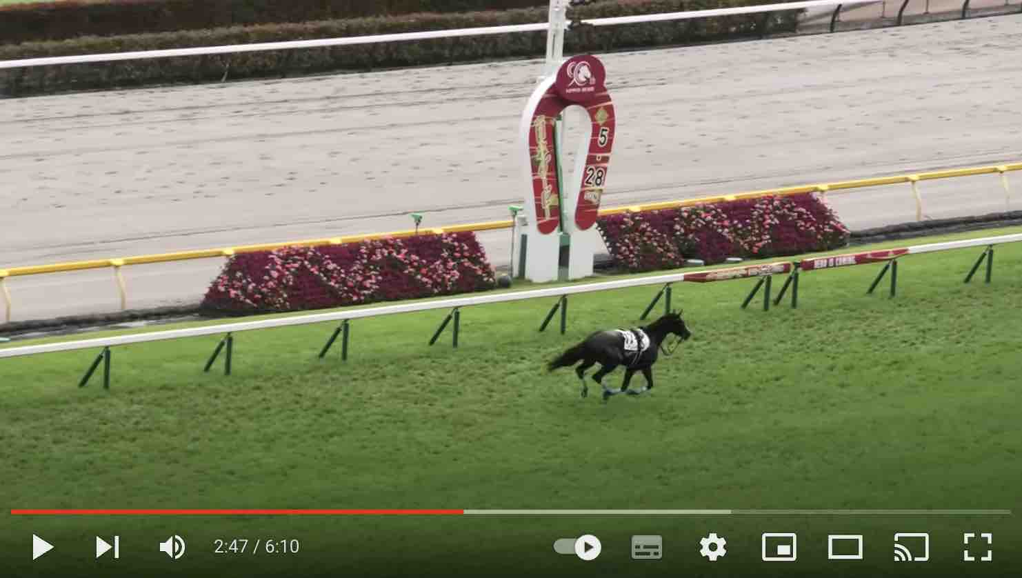 ドゥラエレーデ 落馬